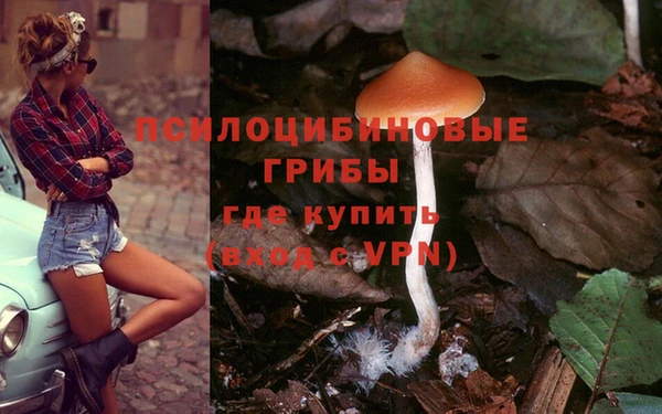синтетический гашиш Балахна