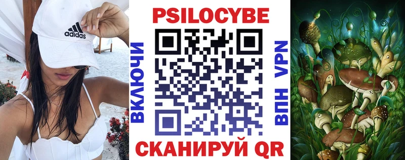OMG онион  Горно-Алтайск  Галлюциногенные грибы мицелий  как найти закладки 